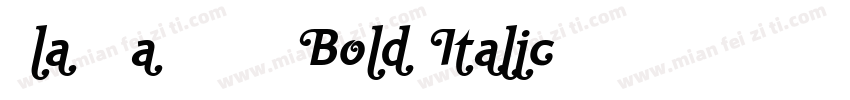 Ela Swashes XeBold Italic PDF字体转换